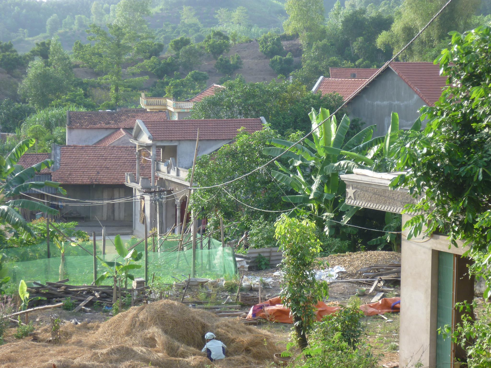 12510852 10207637061518406 1703331518 o