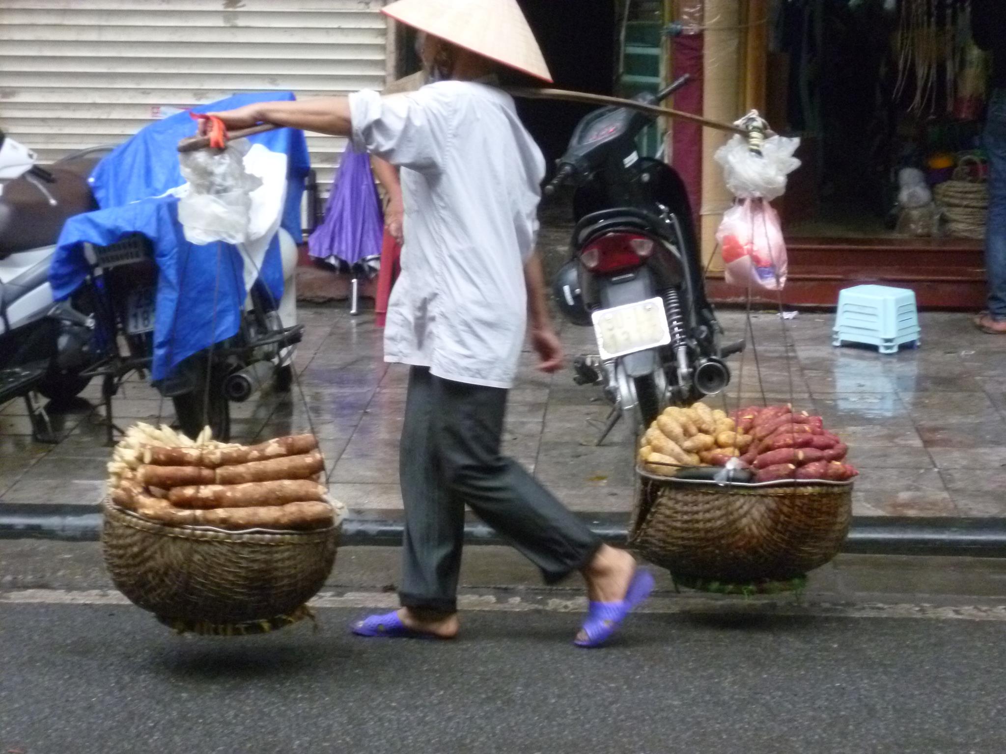 12557717 10207631960430882 139528005 o