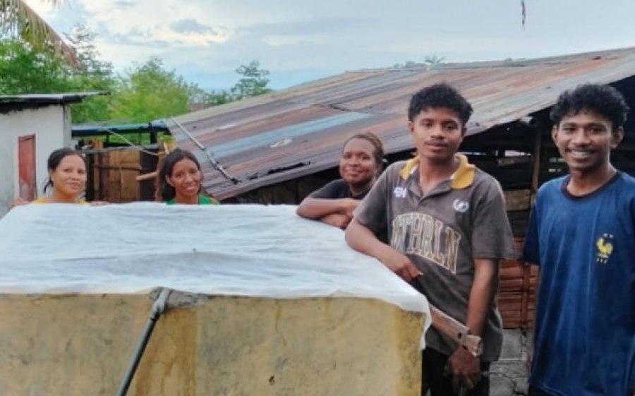 The project against Dengue fever is completed