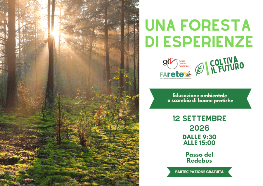 Una foresta di esperienze: 12 settembre 2026 Una foresta di esperienze: 12 settembre 2026