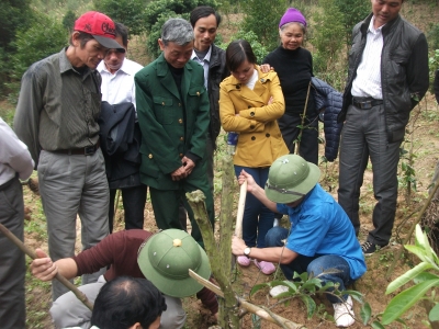 A study tour to learn how to grow medicinal