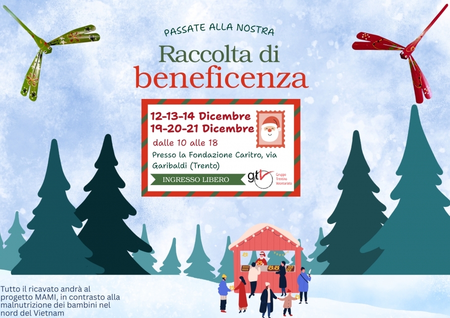 Christmas Charity Fundraiser 2025: support the MAMI project!