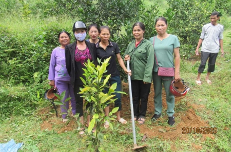 Fertilisation courses for Family Agriculture