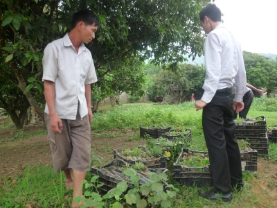 Delivered the first medical plants!