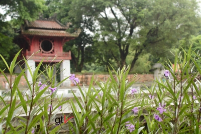 Pasqua e tradizioni... e in Vietnam?