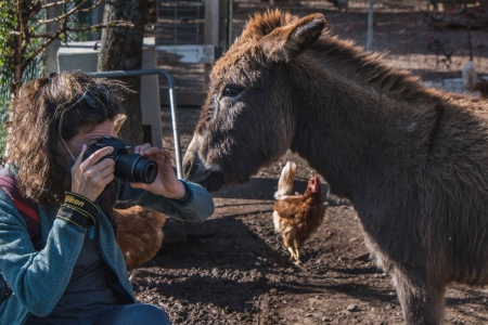 Final meeting - May 8th, 2021 of the photography course by Alberto Prina