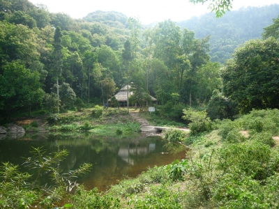 I club ambientali in visita alla foresta di Khe Ro!
