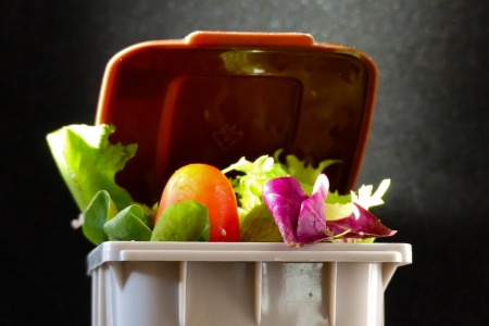 The fight against food waste: around the world and in Trentino