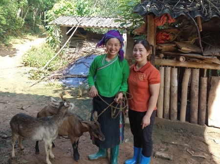 Delivery of the last goats and closure of the Women in Agriculture project
